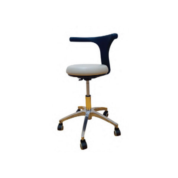 Surgical Stool With Back Rest